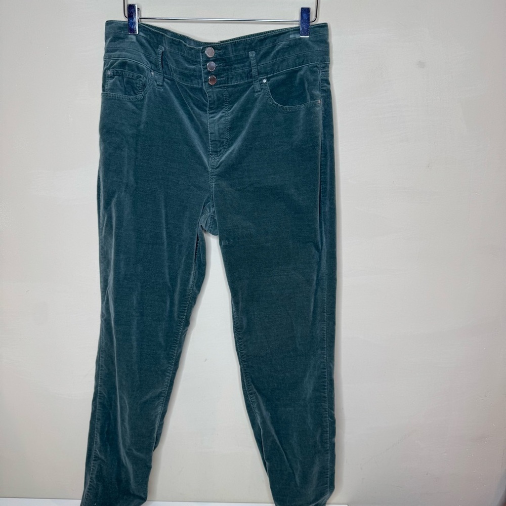Ann Taylor Curvy Fit Hi Rise 3 Button Forest Green Velvet Jeans Women’s Size 14